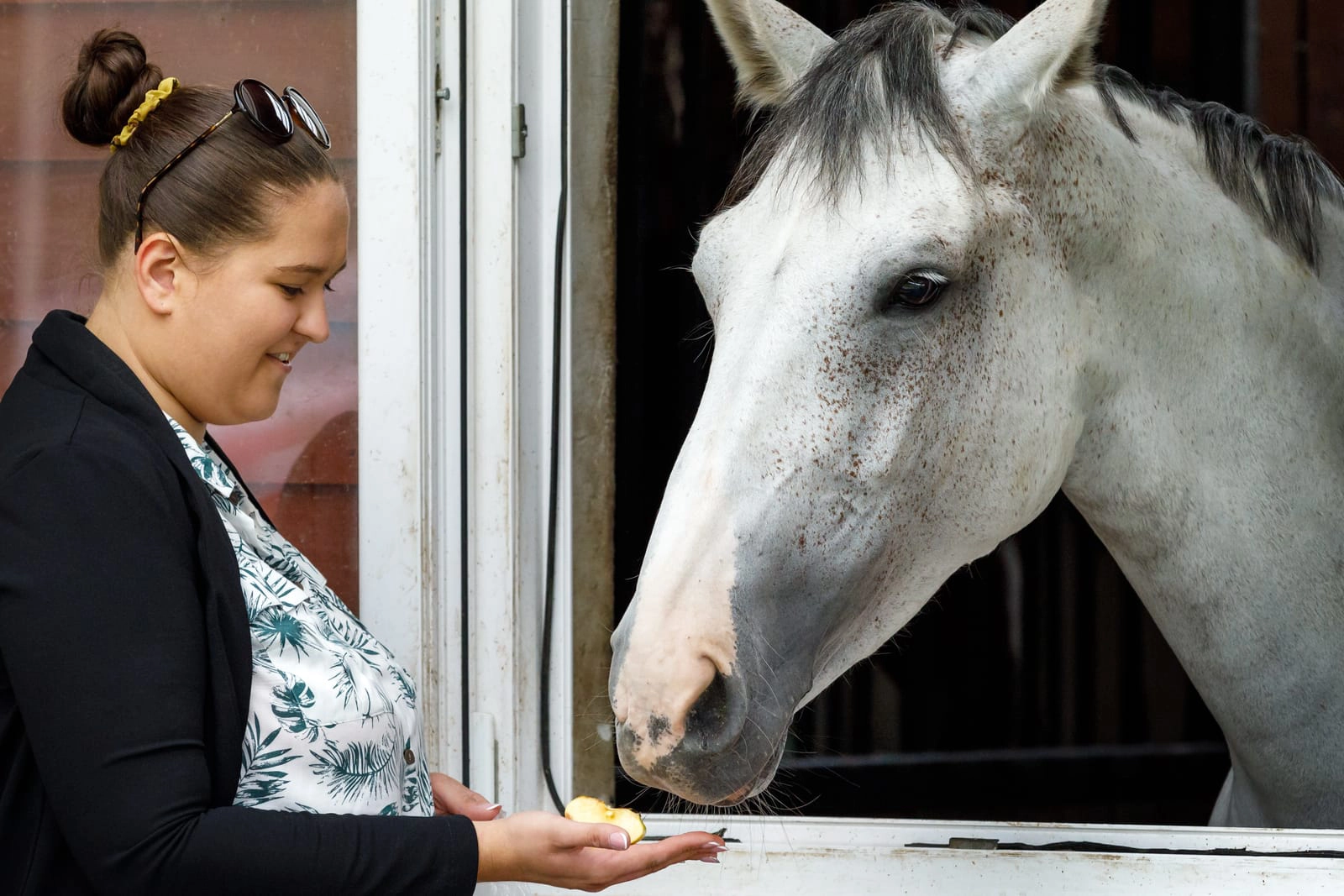 51313528_female-horse-owner-standing-at-the-horse-stable-feeding-with-apple - Heavenly Pastures Making Aftercare Decisions in Winter