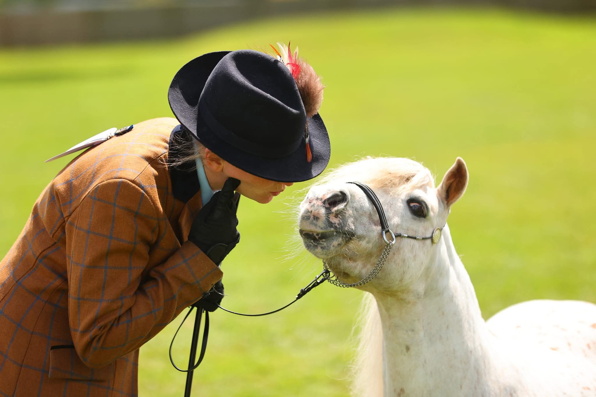 Person in a brown plaid jacket and black hat leaning toward a white horse in a green field outdoors.